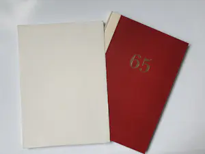 Roger Raveel - 'Hugo Claus 65' met gesigneerde werken van Raveel, Tajiri en Reinhoud kopen? Bied vanaf 875!