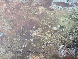 Maurice Grothausen - DE IMPRESSIE VAN MIJN REIZEN OVER DE HELE WERELD kopen? Bied vanaf 1!