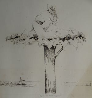 Hans Andringa - Ets , Op het nest van de klepperaar – oplage 37/40 - 1977 kopen? Bied vanaf 1!