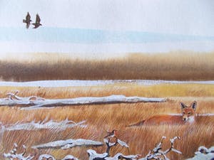 Ari Stolk - Vos en 2 vliegende fazanten in winterheide kopen? Bied vanaf 105!