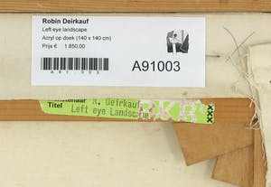 Robin Deirkauf - Acryl op doek, Left eye landscape - Ingelijst (Zeer groot) kopen? Bied vanaf 350!