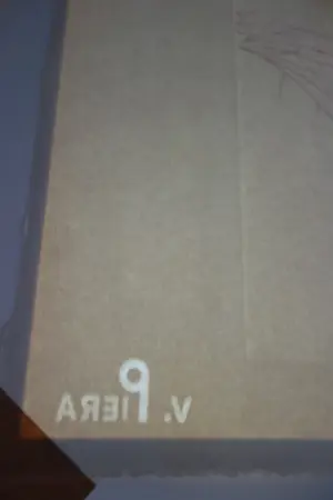 Salvador Dali - Espejo Vivo kopen? Bied vanaf 1650!