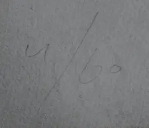 Siet Zuyderland - Litho: Reading VIII - 1979 kopen? Bied vanaf 90!