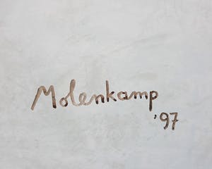 Nico Molenkamp - Toekan op coke, zeefdruk (groot) kopen? Bied vanaf 75!