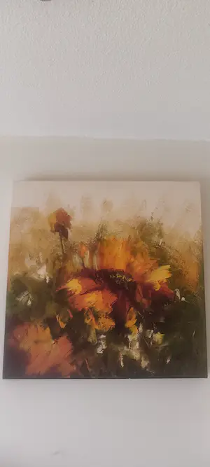 Jochem de Graaf - Jochem kopen? Bied vanaf 75!