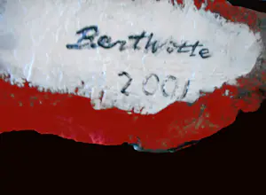 Bert Witte - I am NOT your NEGRO! kopen? Bied vanaf 190!