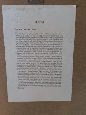 Salvador Dali - Vlucht van een Bij kopen? Bied vanaf 300!