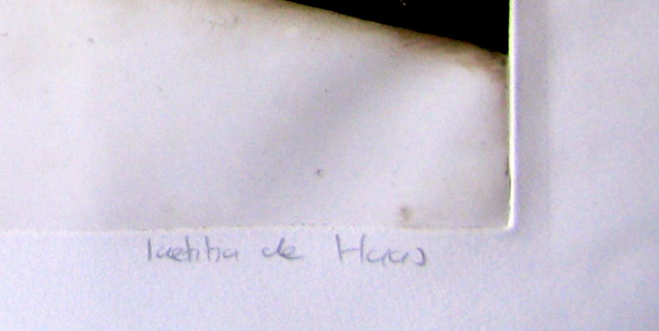 Laetitia de Haas - WINTER kopen? Bied vanaf 20!