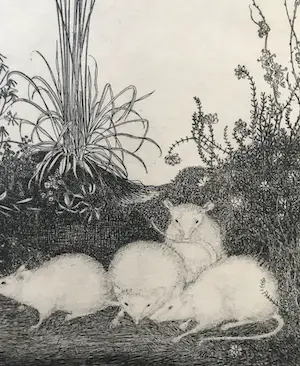 Jan Mankes - Originele Heliogravure 4 Muizen 1923 kopen? Bied vanaf 1!