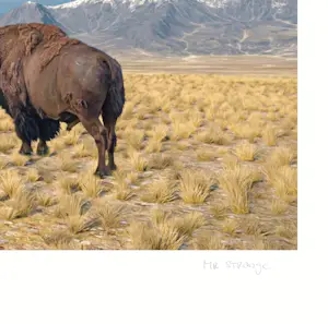 Mr. Strange - The Manager kopen? Bied vanaf 80!