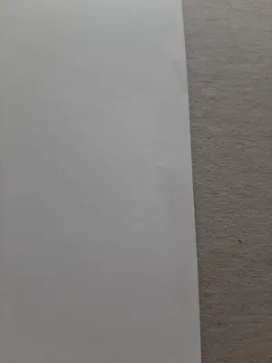 Roger Raveel - Burgemeester Peirs kopen? Bied vanaf 60!