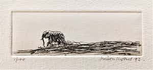 Simon Koene - Eenzame olifant verkocht voor € 20!