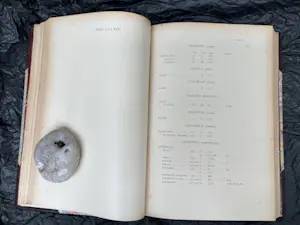 Antiquarisch Boek - Dictionnaire raisonné de l'architecture française du XIe au XVIe siècl kopen? Bied vanaf 350!