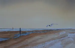 Franklin Meijer - Texel - Strand Vuurtoren de Cocksdorp kopen? Bied vanaf 49!