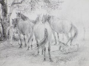 Piet Klaasse - Paarden en Veulens - Litho kopen? Bied vanaf 45!