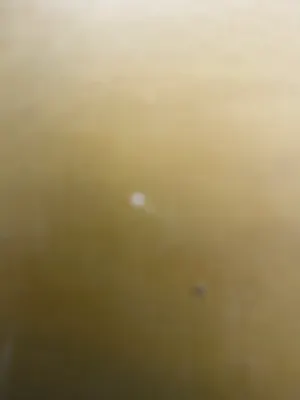 Tilly Moes - Stilleven met bloemen en fruit kopen? Bied vanaf 35!