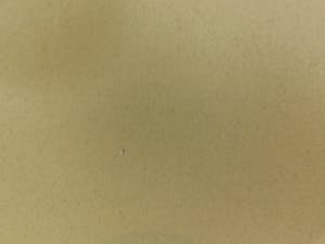 Leonor Fini - Fruits de la Passion kopen? Bied vanaf 35!