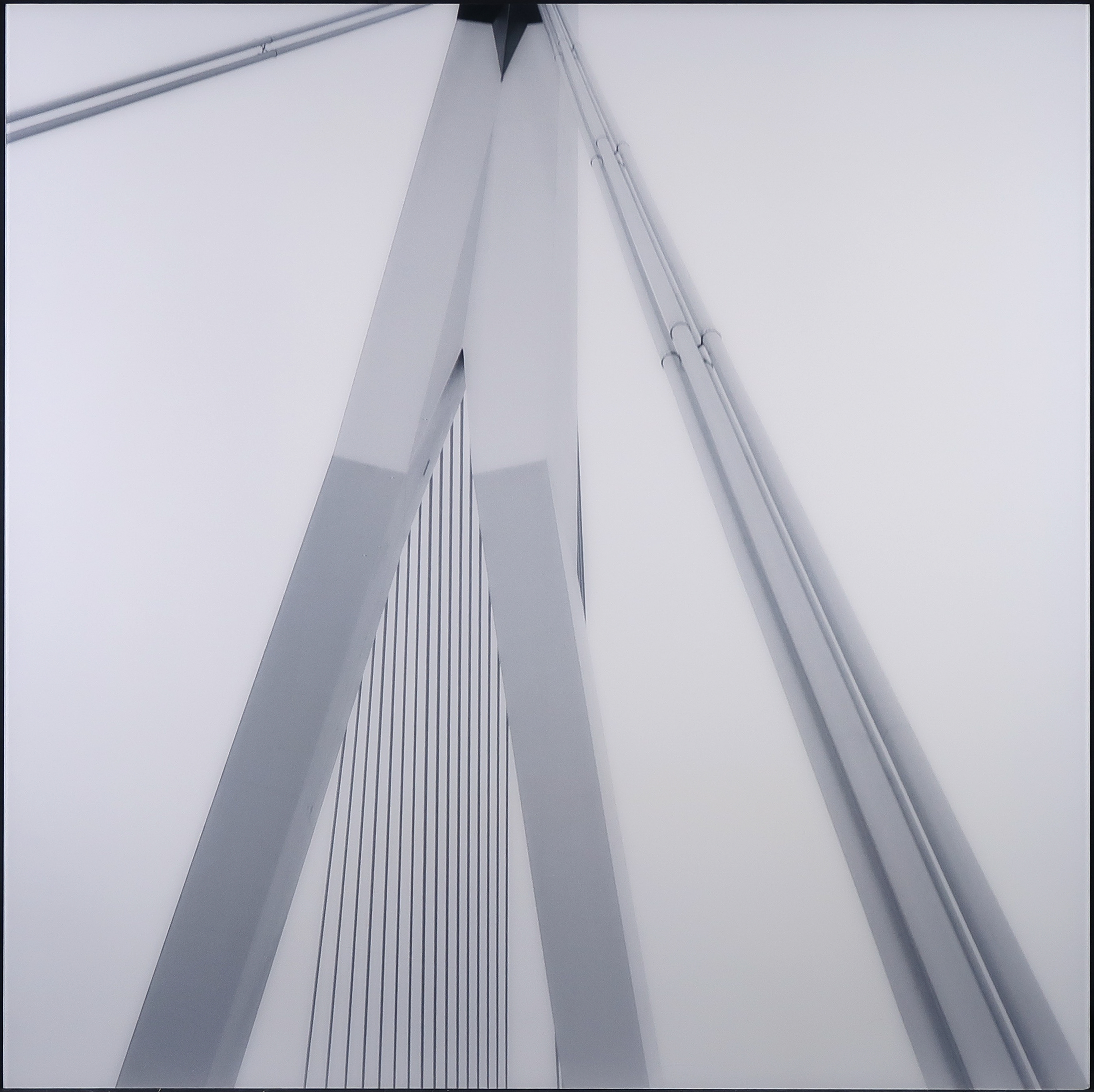 Tamara van de Meeberg - Foto, Erasmusbrug I (Groot) verkocht voor € 35!