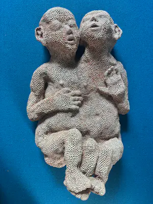 Carolein Smit - Siamese baby’s kaufen? Bieten Sie von 100!