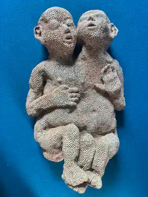 Carolein Smit - Siamese baby’s vendu pour 1311€ !