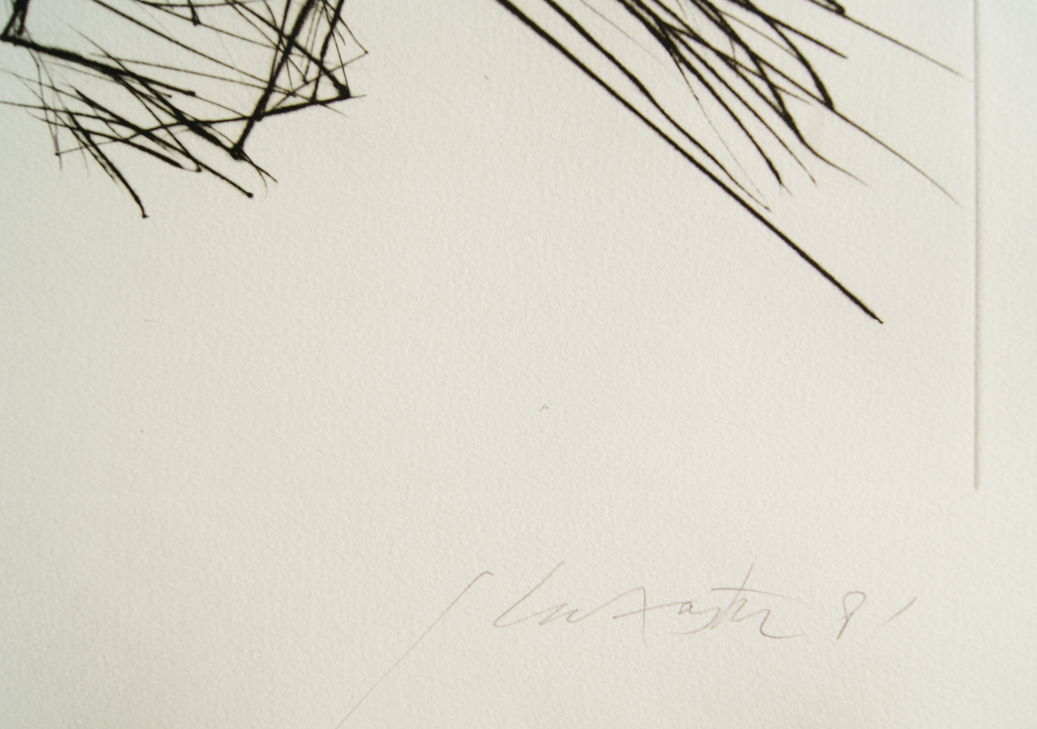 Ger Lataster - abstracte ets - 1981 - oplage 20 ex. kopen? Bied vanaf 85!