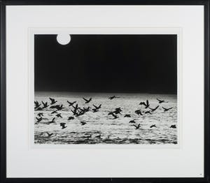 Freddy Rikken - Foto, Zeegezicht - Ingelijst kopen? Bied vanaf 10!