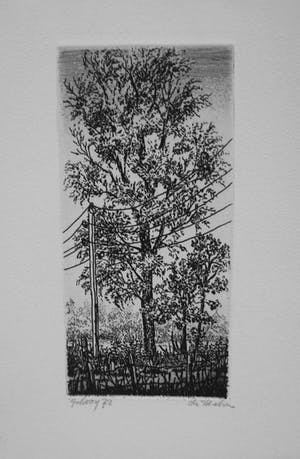 Gerard van Rooy - 'Wilg', bomen bij het huisje van Dirkje Kuik in Wouterswoude kopen? Bied vanaf 15!