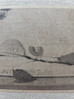 Jan Mankes - Muisje op boekje. kopen? Bied vanaf 79!