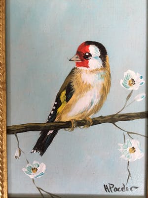 Henk Poeder - Puttertje kopen? Bied vanaf 55!