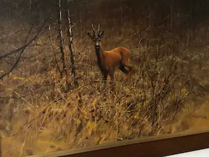 AcheterPieter Daniel Dik - wild in het bos? Enchérissez de 450!