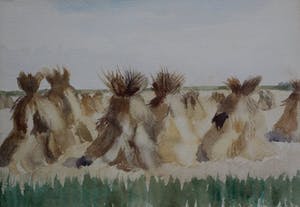 Mies Callenfels-Carsten - aquarel:korenschoven bij Veere (nette lijst) kopen? Bied vanaf 99!