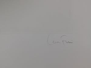 Leonor Fini - La Sorcière sur le Balai kopen? Bied vanaf 25!