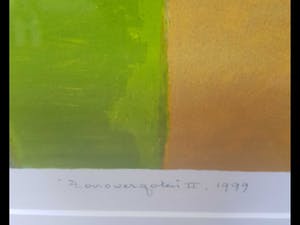 Ton Schulten - Zonovergoten II [ 142/180 ] kopen? Bied vanaf 190!