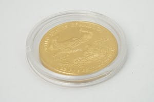 2013- Massief 0.917/1000 gouden USA 50$ Gold Eagle / Liberty MUNT 2009 kopen? Bied vanaf 1460!