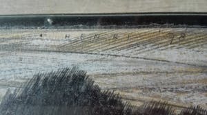 Henri van Nes - z. t. (B1.L.) kopen? Bied vanaf 5!