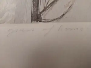 Jan Scheir - The frail, frail grass of home. kopen? Bied vanaf 300!