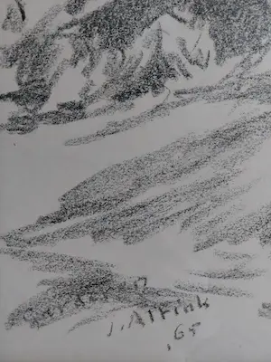 Jan Altink - Bosgezicht bij Garderen kopen? Bied vanaf 220!