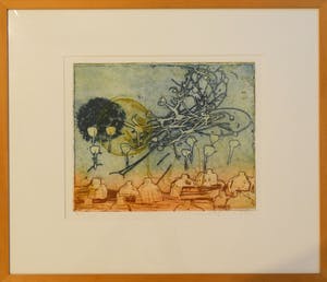 Jan Montyn - 'Los mundos Brasil' (9/25) kopen? Bied vanaf 125!