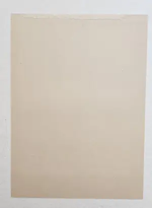 Jan Mankes - Olieflesje kopen? Bied vanaf 50!