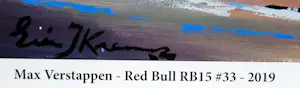 Eric-Jan Kremer - Red Bull RB15 #33 Max Verstappen 2019 kopen? Bied vanaf 39!