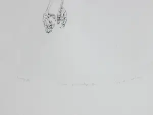 Gerard van Rooy - Danse Macabre III - Ets kopen? Bied vanaf 50!