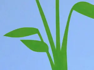 Ed Weyden - waterplant 2015 kaufen? Bieten Sie von 63!