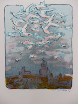 Jan Forrer - Kleurenlitho VOGELVLUCHT Handgesigneerd. kopen? Bied vanaf 45!