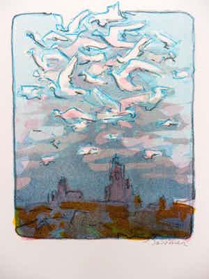 Jan Forrer - Kleurenlitho VOGELVLUCHT Handgesigneerd. verkocht voor € 45!