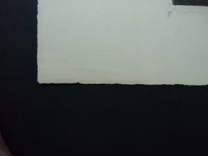 Frederika Broeksmit - SCHELPENVISSER kopen? Bied vanaf 30!