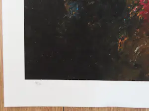 Armando - Waldrand kopen? Bied vanaf 60!