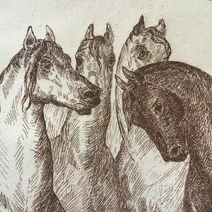 Noël Matthijs - 4 paarden kopen? Bied vanaf 1!