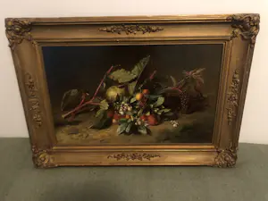 Adriana Haanen - Stilleven met vruchten en karmozijnbes kopen? Bied vanaf 3400!