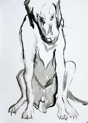 Ad van Riel - Hond (4) verkocht voor € 35!