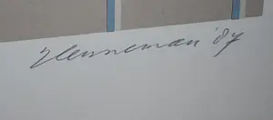 Jeroen Henneman - Uit het leven der dingen: een kanarie - zeefdruk - mooi ingelijst kopen? Bied vanaf 150!